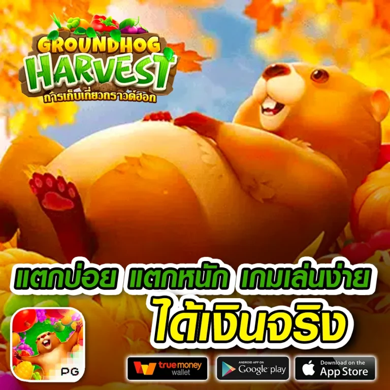 app shabu189 biz